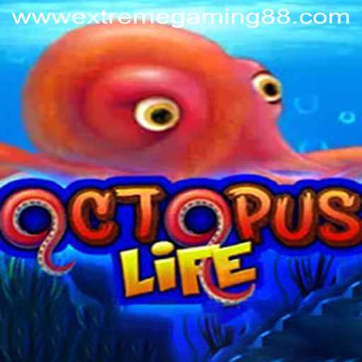 Exploring OctopusLife: An Engaging Dive into the Underwater World